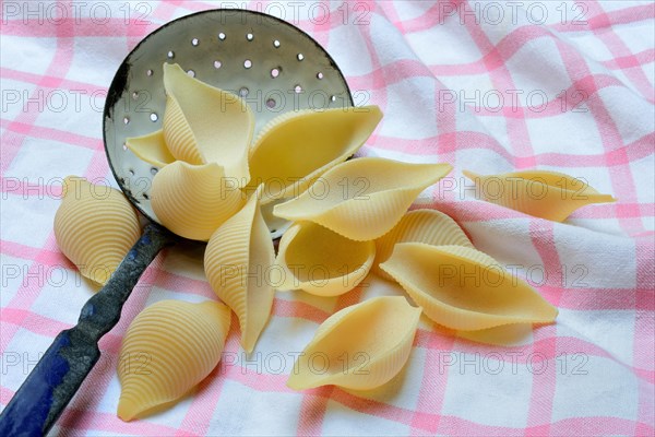 Conchiglione with sieve ladle