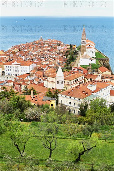 View over the roofs of the town with the church of Sv. Jurij