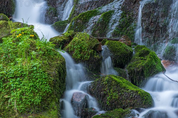 Fresh and beautiful waterfalls in a mountain stream in spring. La Serva