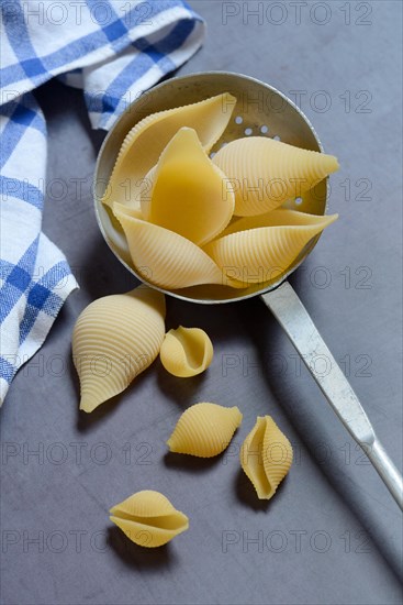 Conchiglione and small conchiglie with sieve ladle