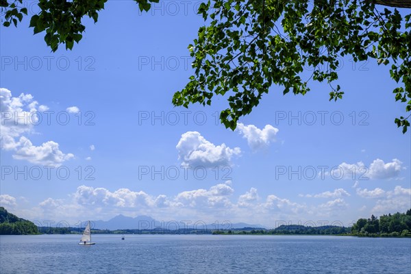 Wallersee