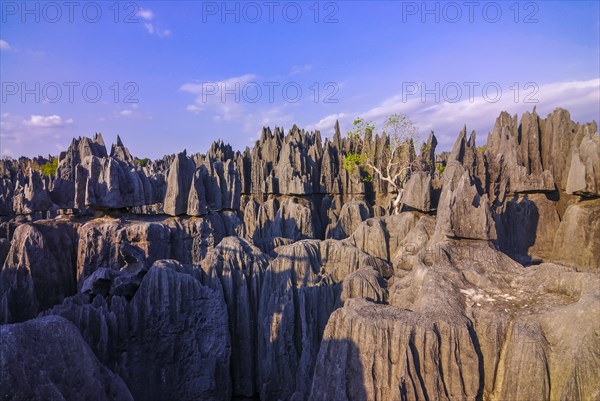 Unesco world heritage sight Tsingy de Bemaraha Strict Nature Reserve