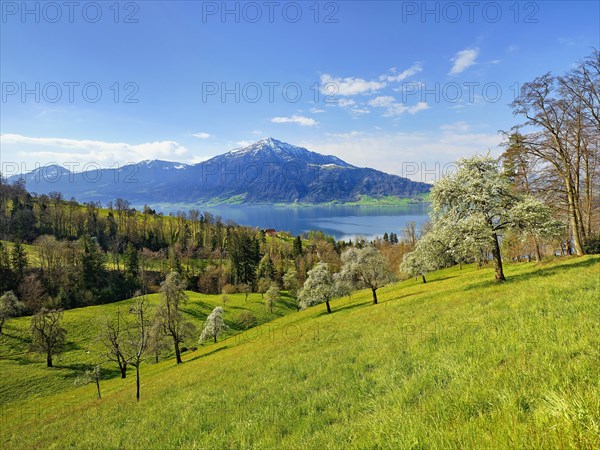 View of Lake Zug and the Rigi