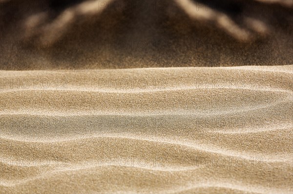 Sand ripple