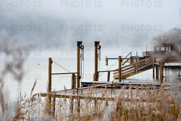 Reed on the lake with fog and jetty in winter