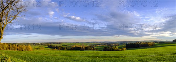 Landscape in the Thuringian Slate Mountains Upper Saale nature park Park near Bad Lobenstein