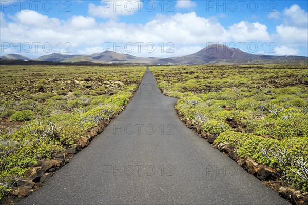 Black asphalt road leading through green bushes to volcanoes on the horizon