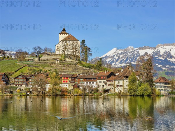 Werdenberg Castle with Old Town on Lake Werdenberg