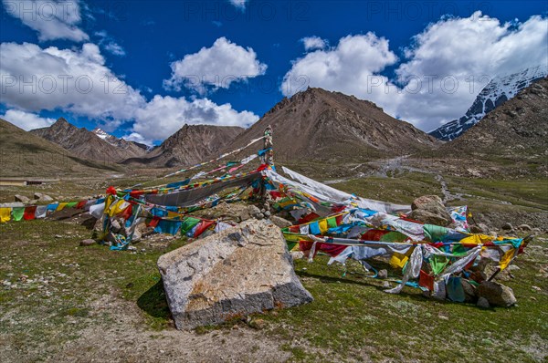 Praying flags along the Kailash Kora