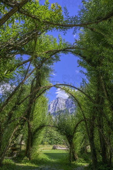 Willow Dome in the background Planspitze