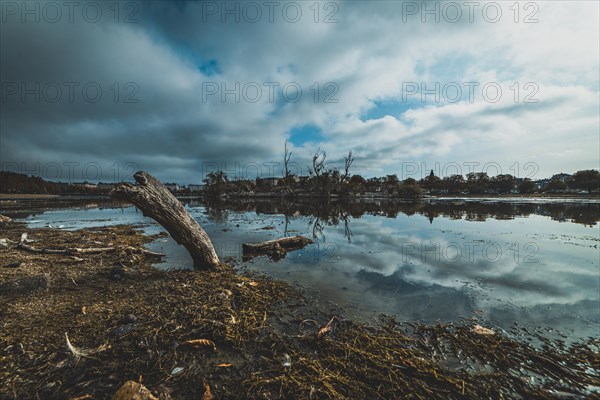 Lake in the city of Copenhagen