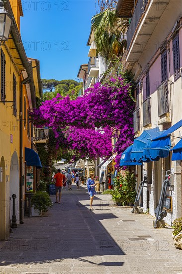 Pedestrian zone of Azzurro with purple bougainvillea