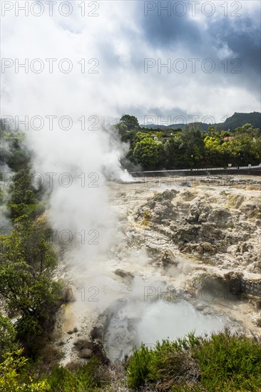 Fumaroles in the town of Furnas