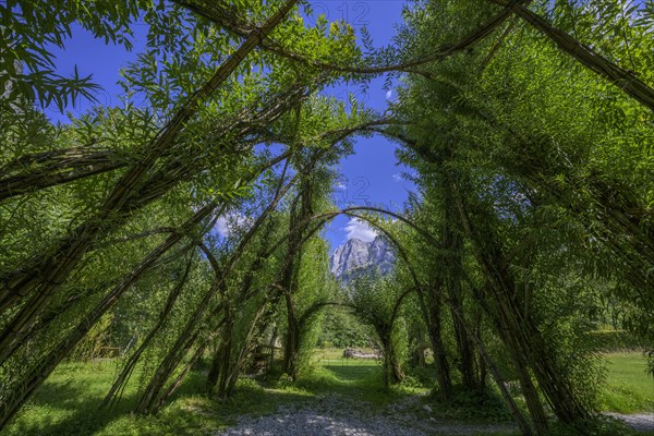 Willow Dome in the background Planspitze