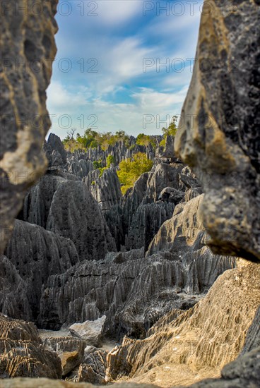 Unesco world heritage sight Tsingy de Bemaraha Strict Nature Reserve