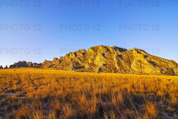 Savannah at sunset in the Isalo National Park