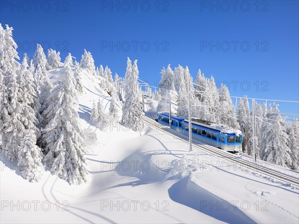 Cogwheel railway rides through snow-covered forest