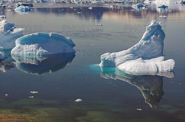 Icebergs reflected in a fjord