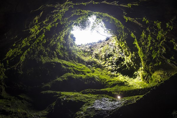 Algar do Carvao Natural Reserve cave