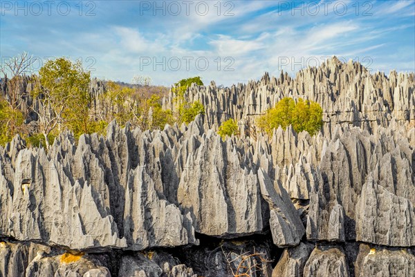 Unesco world heritage sight Tsingy de Bemaraha Strict Nature Reserve