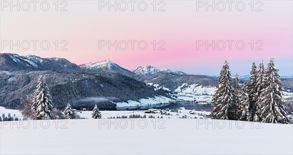 Snow-covered forest with view of Lake Aegeri behind Rigi and Pilatus