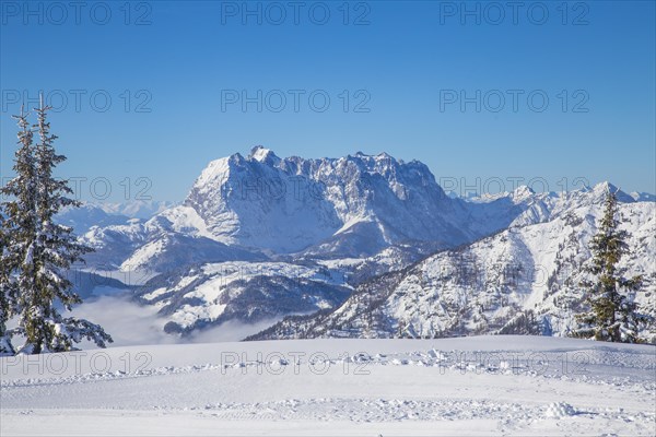 View of the Wilder Kaiser