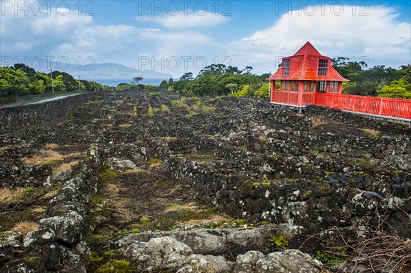 Red walkway in the UNESCO-designated historical vineyards in the Wine museum of Pico