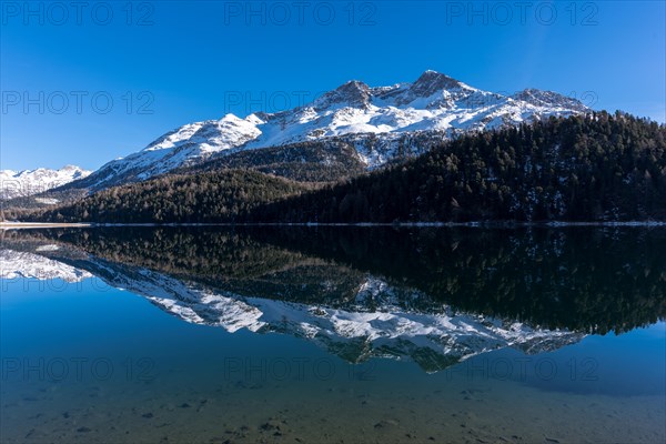 Reflection of Piz Rosatsch in Lake Champferer in the Engadine
