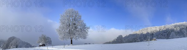 Snow and hoarfrost