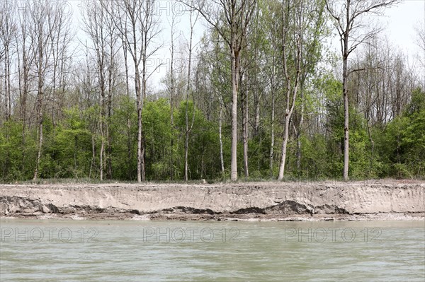 First signs of erosion on a renaturalised river bank