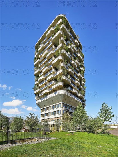 Vertical facade planting on the Aglaya residential tower