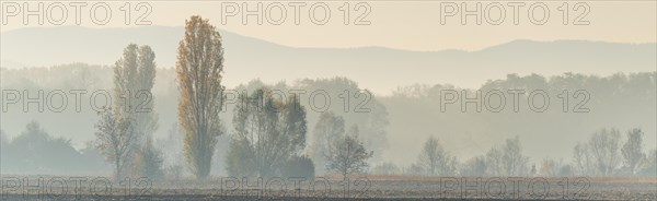 Plain landscape with trees and forest in autumn. Banner. Alsace France