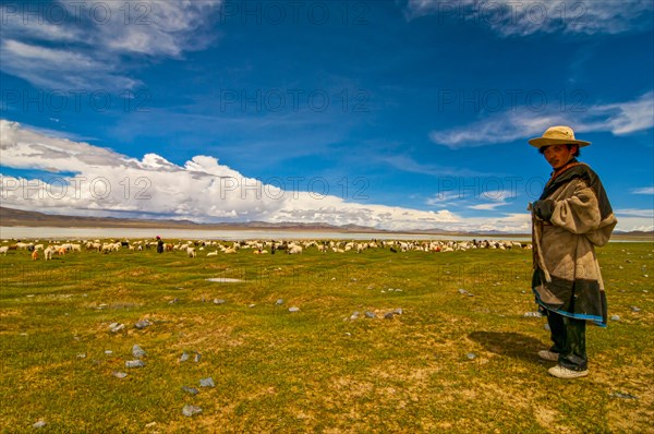 Sheperd with huge goat herd before a mountain lake along the road from Ali and Gerze