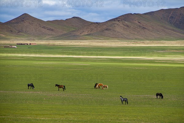 Open tibetan landscape along the road from Gerze to Tsochen