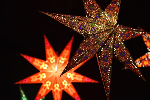 Christmas with illuminated poinsettia