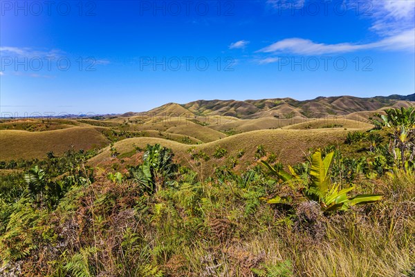 Manakara on the east coast of Madagascar