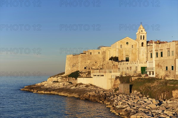 Church of San Francesco in the evening light