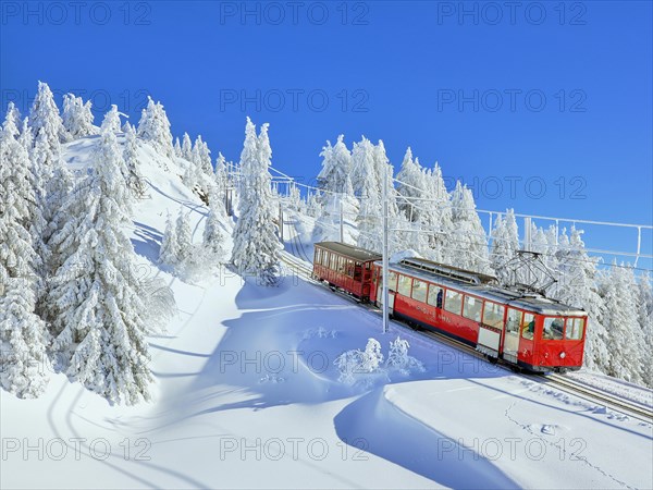 Cogwheel railway travelling through snow-covered forest