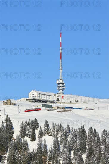 Winter landscape