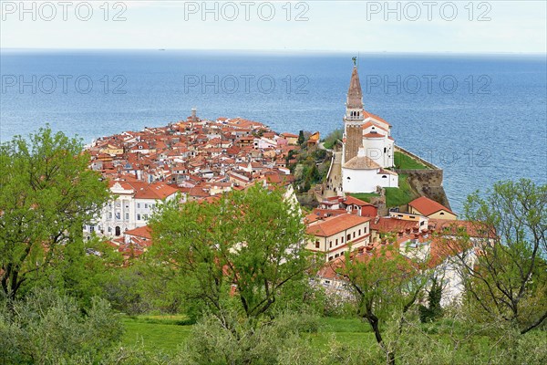 View over the roofs of the town with the church of Sv. Jurij