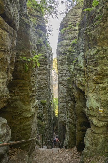 Narrow passage at the Prachov Rocks