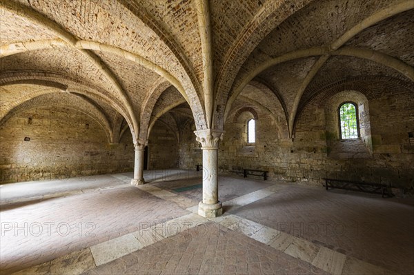 Vault of the church ruins of the Abbey of San Galgano