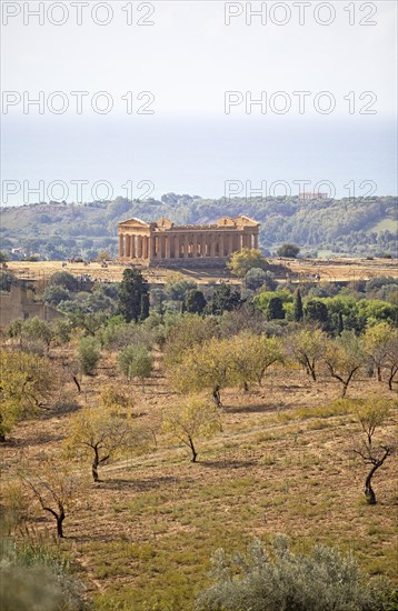 Valle dei Templi di Agrigento