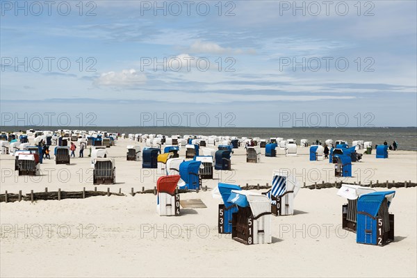 Beach chairs on the sandy beach