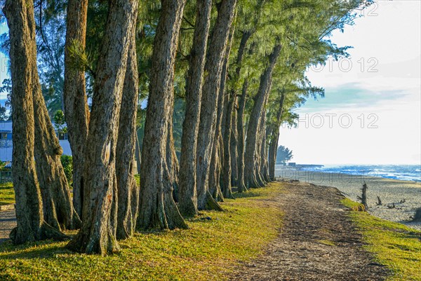 Manakara on the east coast of Madagascar