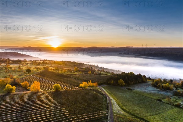 Drone view of fog