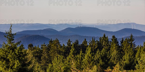 View from Schliffkopf over forest