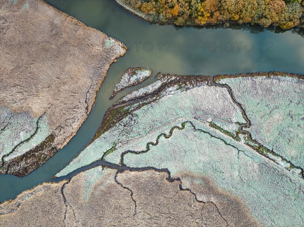 Top Down view over Marshland of River Teign shrouded in frost at morning sun from a drone