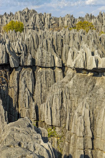 Unesco world heritage sight Tsingy de Bemaraha Strict Nature Reserve