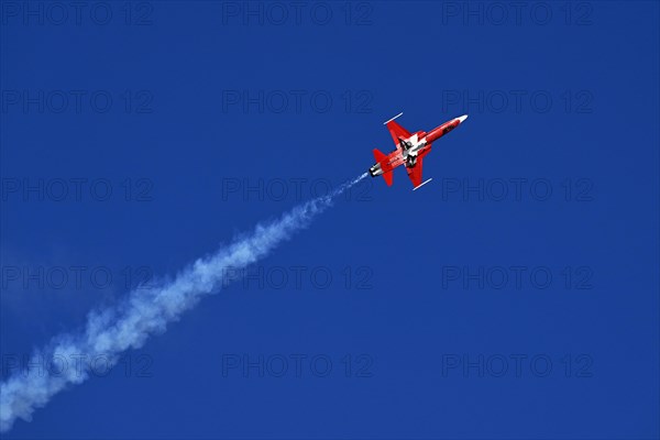 Formation flight of the Patrouille Suisse with the Northrop F-5E Tiger II